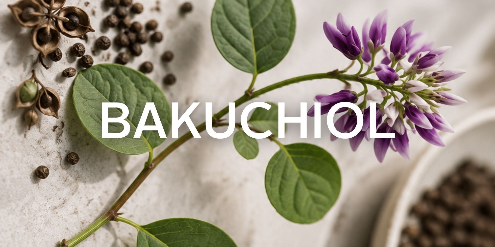Bakuchiol for Mature Skin: Nature’s Gentle Bio Retinol - Raven Botanicals