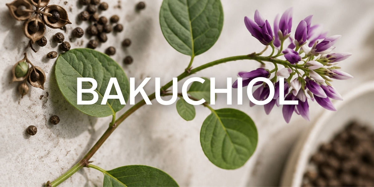 Bakuchiol for Mature Skin: Nature’s Gentle Bio Retinol - Raven Botanicals