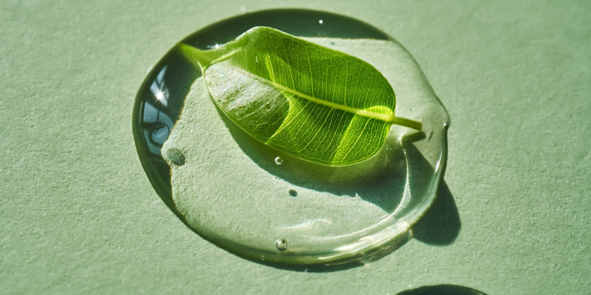 Best Actives for Combination Skin: How to Find Your Balance - Raven Botanicals