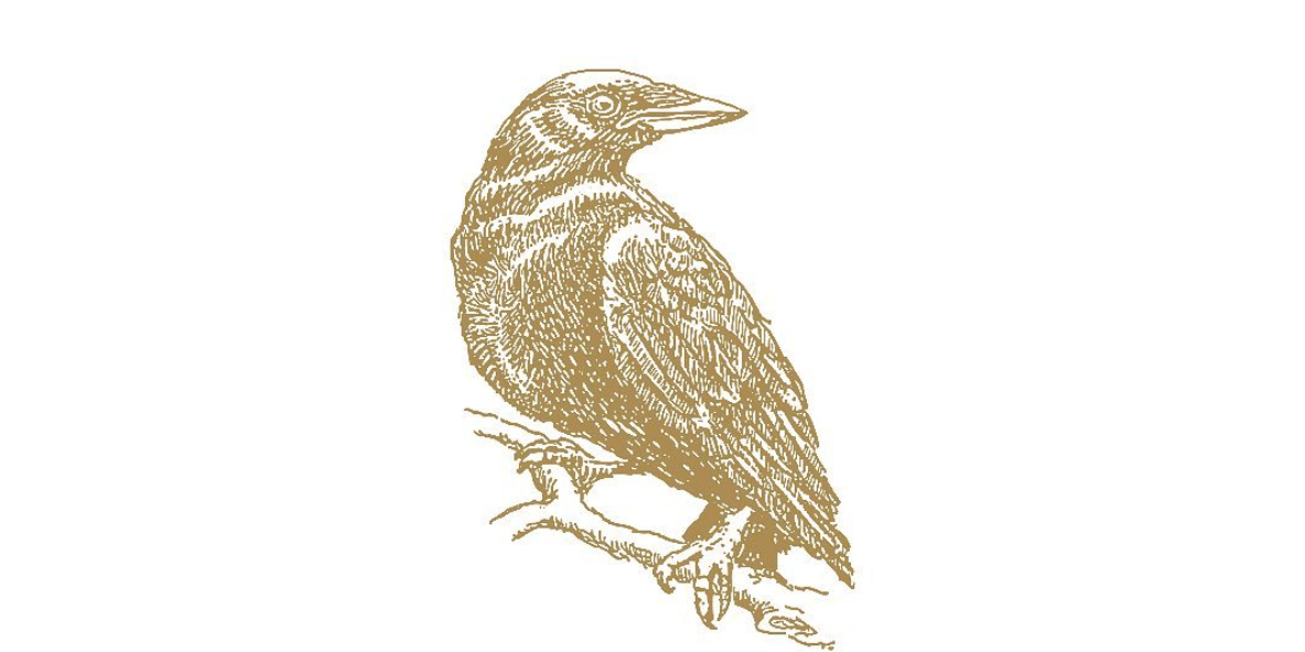It's our birthday! We're celebrating one whole year in business. - Raven Botanicals