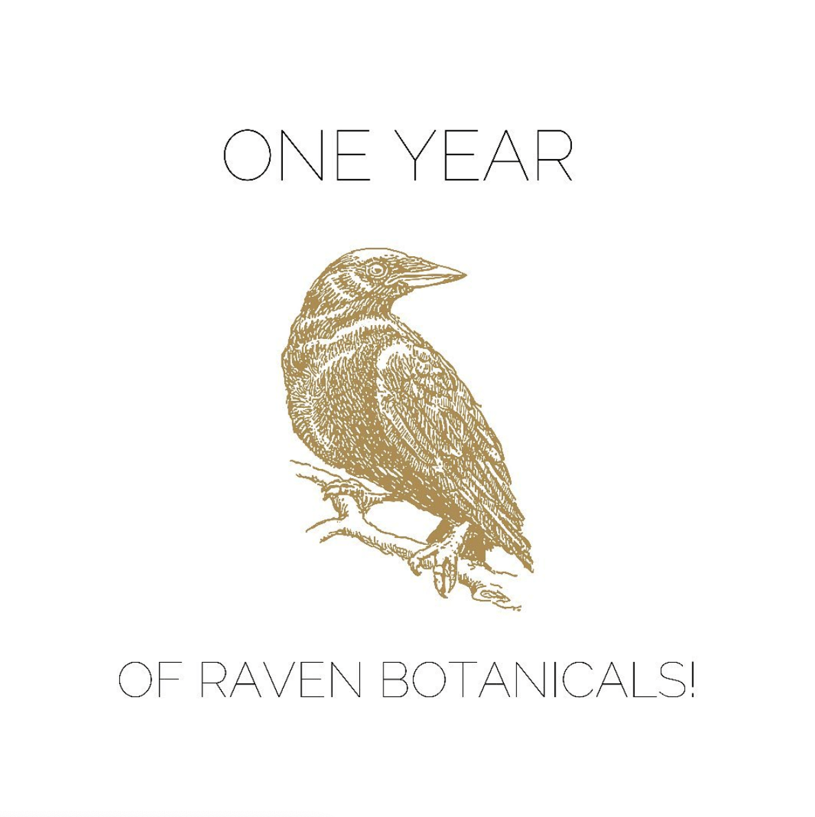 It's our birthday! We're celebrating one whole year in business. - Raven Botanicals