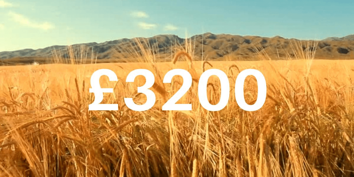 Our Charitable Ethos - Ukraine and more - Raven Botanicals