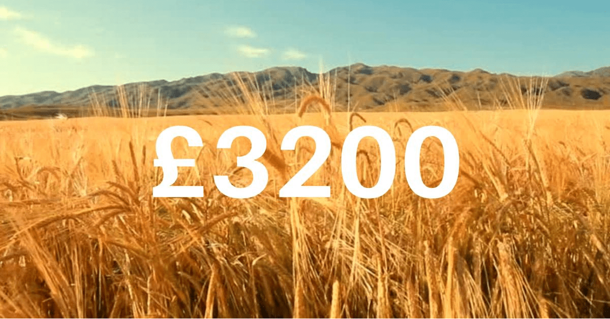 Our Charitable Ethos - Ukraine and more - Raven Botanicals