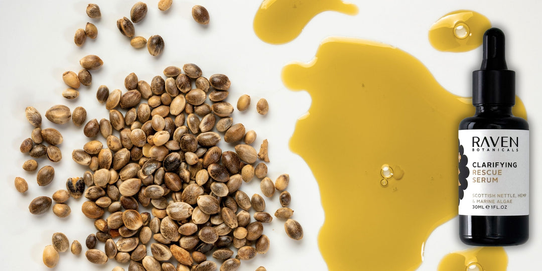 image of hemp oil and hemp seeds contrasting together