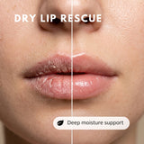 Natural Lip Balm | Sweet Orange & Grapefruit - Raven Botanicals