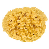Sustainably Sourced Bath Sponge - Raven Botanicals