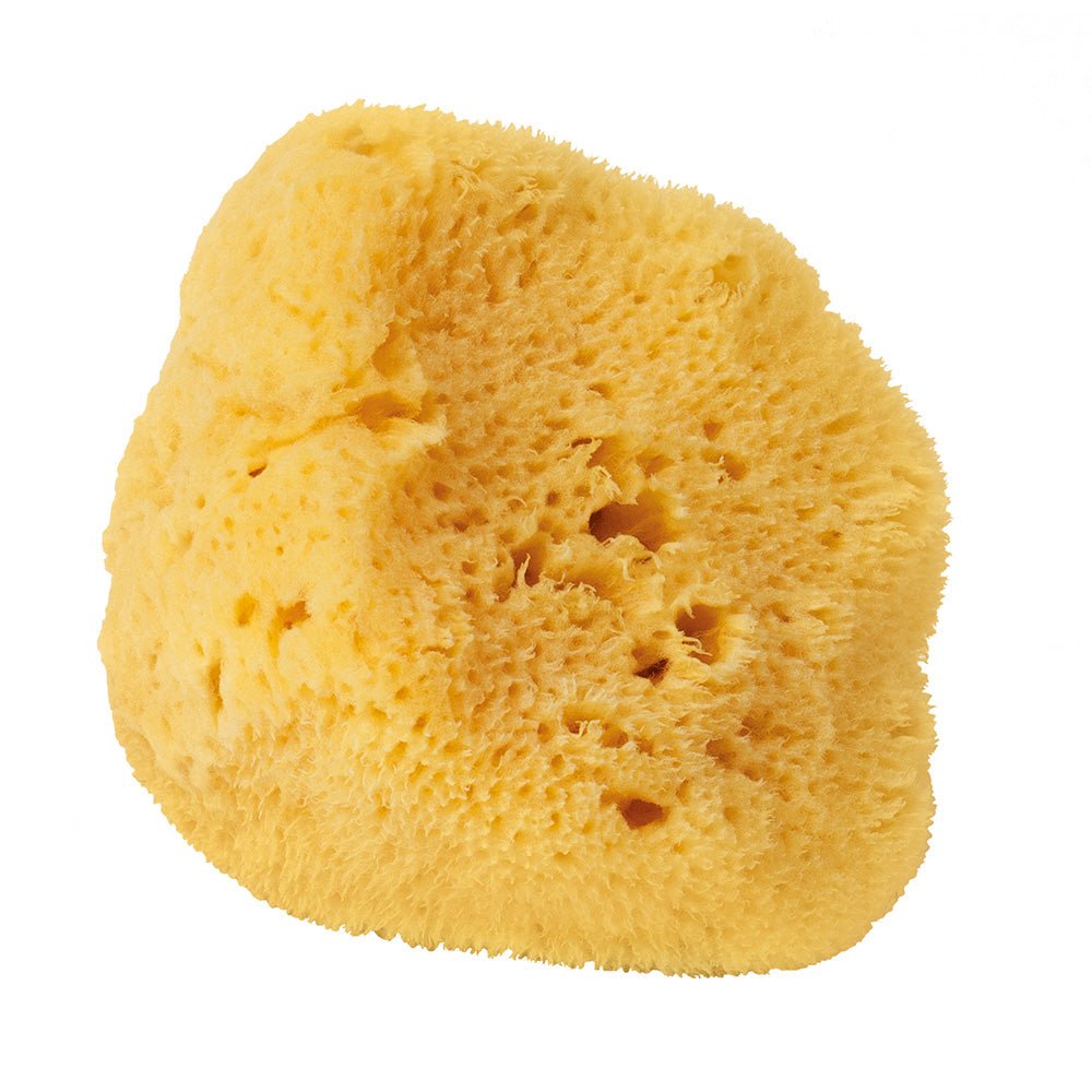 Sustainably Sourced Face Sponge - Raven Botanicals