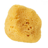 Sustainably Sourced Face Sponge - Raven Botanicals